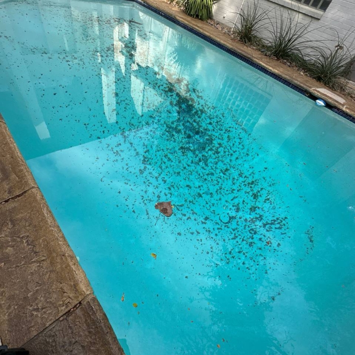 Experienced team providing Pool Maintenance in Tarrant County, TX while performing routine cleaning and water balancing