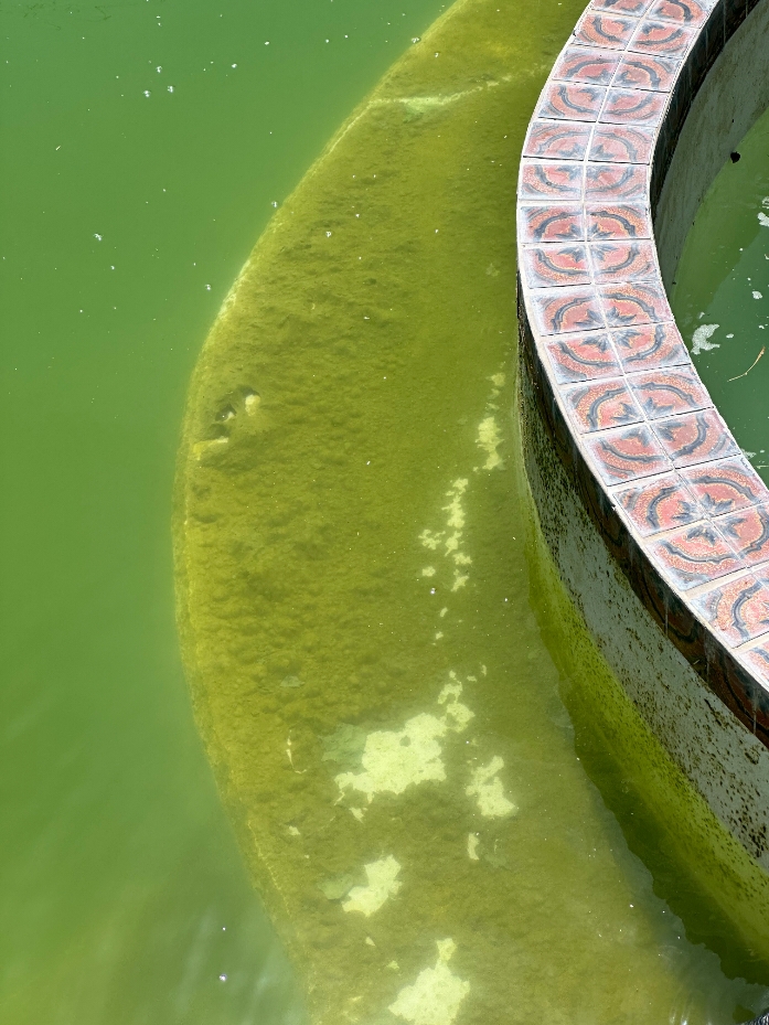 Professional team doing pool repairs near me in Burleson, TX to resolve pump, filter, and system issues