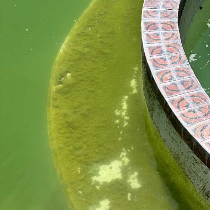 Professional team doing pool repairs near me in Southwest Arlington, TX to resolve pump, filter, and system issues